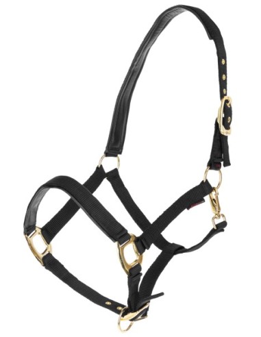 Halter Covalliero TopLine