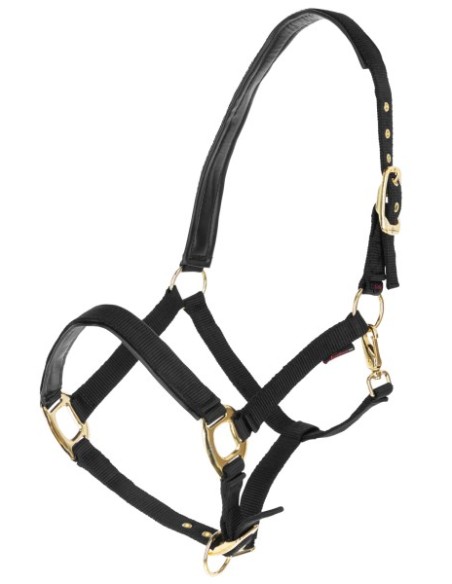 Halter Covalliero TopLine