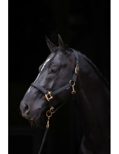 Halter Covalliero TopLine