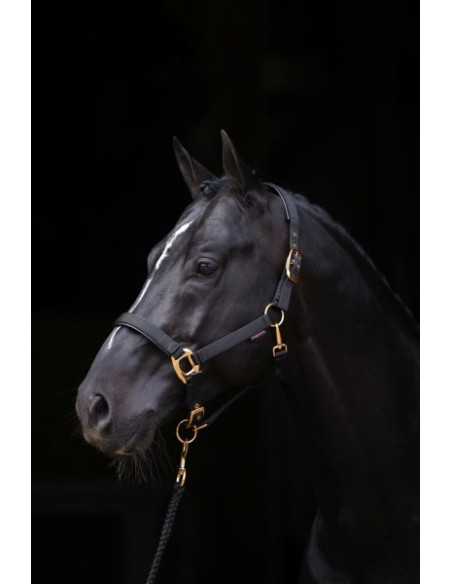 Halter Covalliero TopLine