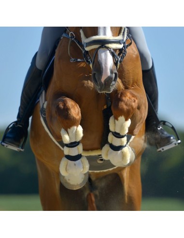 Brushing boots Compete'n Wool - faux fur
