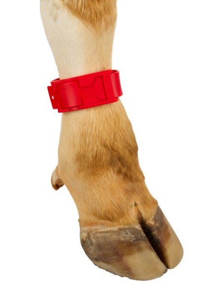 Ankle Straps