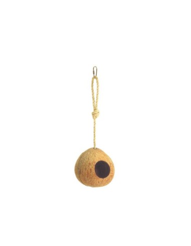 Coconut nest
