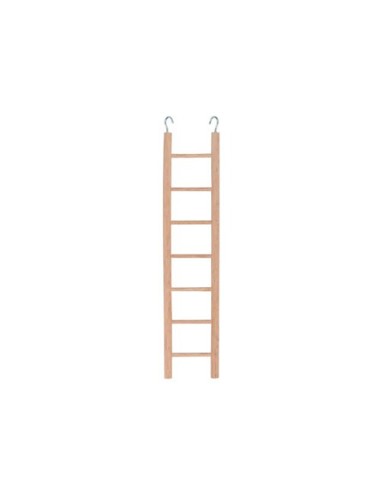 Ladders