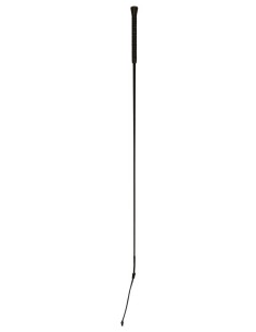 Dressage Whip