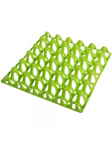 Egg Storage 30 pcs