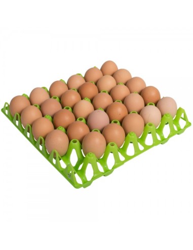Egg Storage 30 pcs