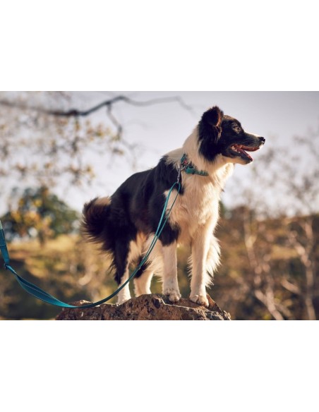 copy of Rukka Bliss Leash yellow 125-200cm