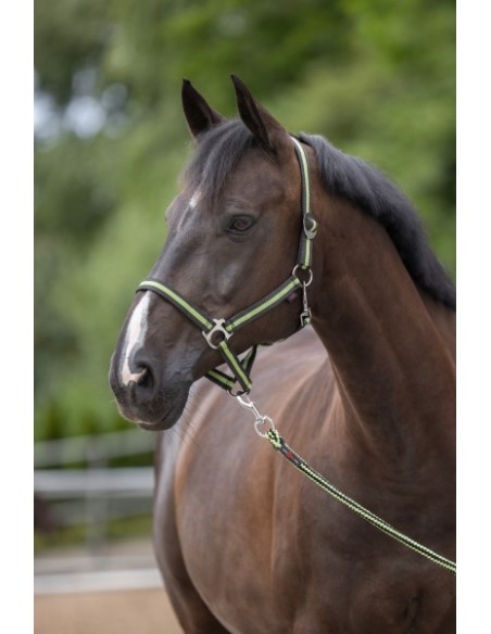 Nylon Head-Collar HIPPO