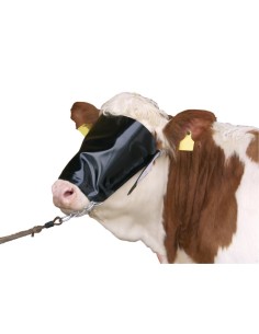 Cattle blinder with halter Kerbl