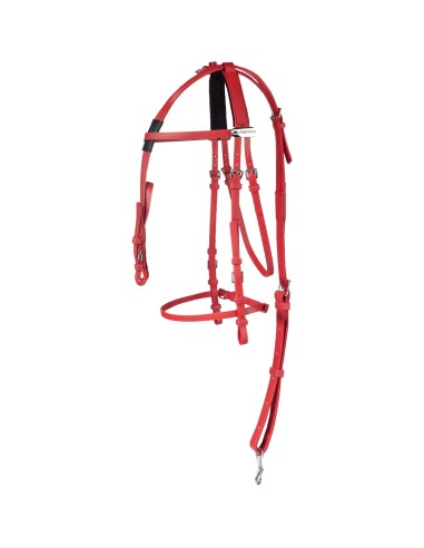 Finntack Pro Synthetic (100% Beta) Open Race...