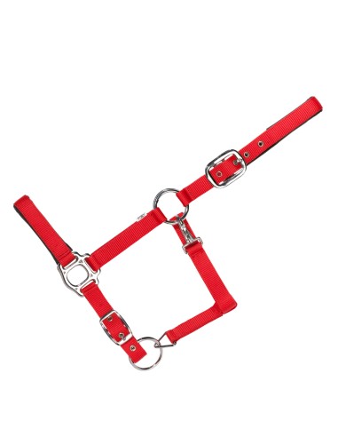 HALTER EVERYDAY SINGLE-COLOURED, PADDED