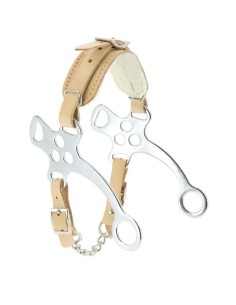 Hackamore