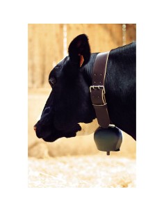 BLACK BLUE CURVED STEEL BELL 180 MM