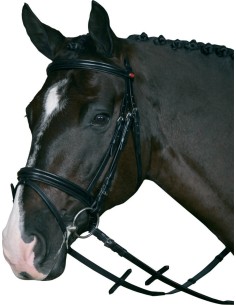HG Bridle w/supergrip