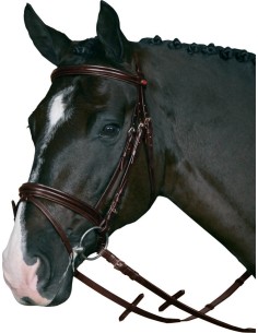 HG Bridle w/supergrip 2