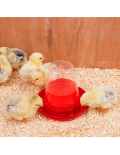 Poultry drinker for chicks and quail 0.6 liters 2