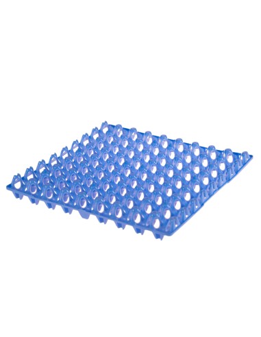 Egg tray for 72 quail eggs blue