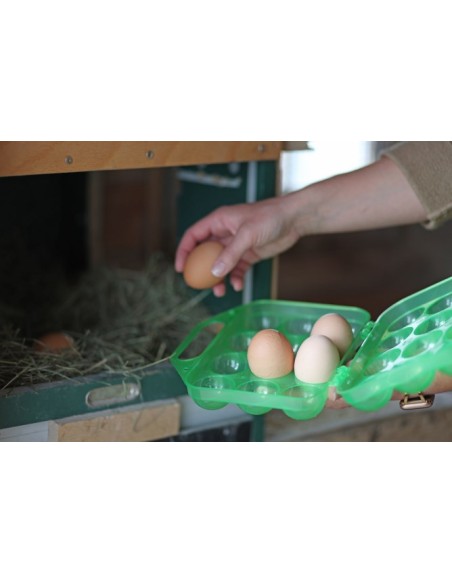 Egg Transport Box