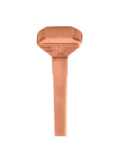 LIBERTY CARRERA SECURE CU COPPER SHIELD NAILS 2