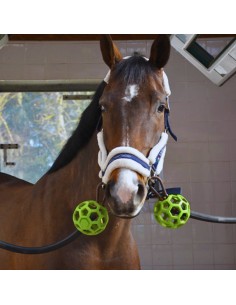 HIPPOTONIC ATTACHMENT PROTECTION BALL