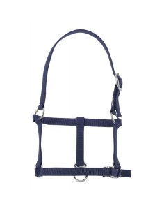 RIDING WORLD FOAL HEADCOLLAR
