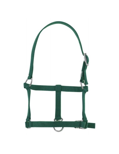 RIDING WORLD FOAL HEADCOLLAR