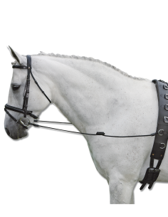 Side Reins Elastic 2