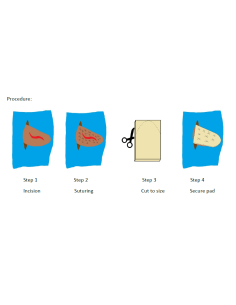 FioniaVet sterile aural othaematoma pad 2