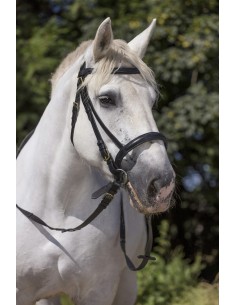 NORTON CLUB BRIDLE, DRAUGHT HORSE