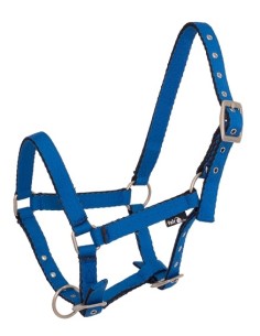 FOAL halter API BABY navy