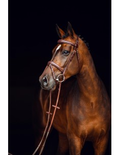 Horze Sion Bridle with Reins