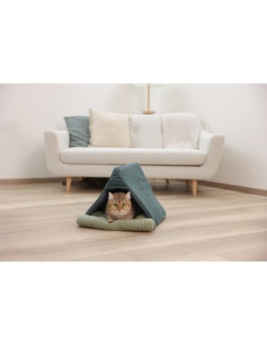 Snugly Cave Anne