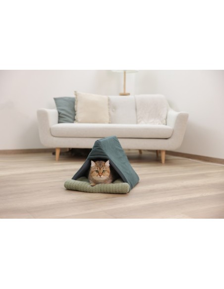 Snugly Cave Anne