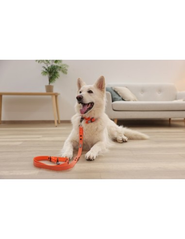 Training Leash Puno orange/black 200 cm / 25 mm