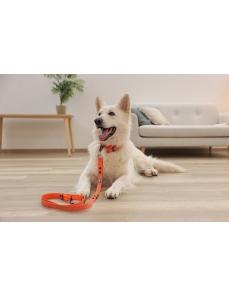Training Leash Puno orange/black 200 cm / 25 mm