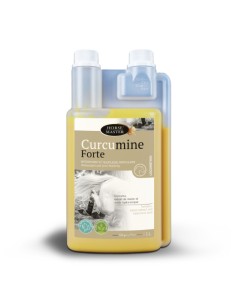 Curcumine Forte 1L - Joint suppleness