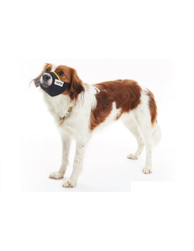 BUSTER Easy-ID nylon dog muzzle, M, lime