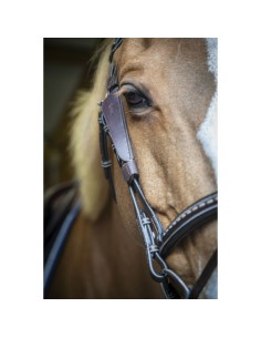 PENELOPE "BLINKERS" BLINKERS 2