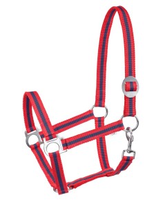 Halter for horses START Economic
