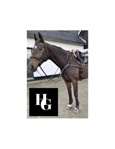 HorseGuard Luke breastplate size COB