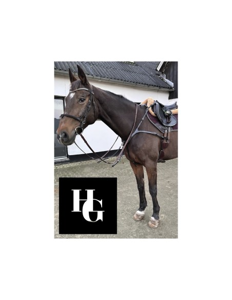 HorseGuard Luke breastplate size COB