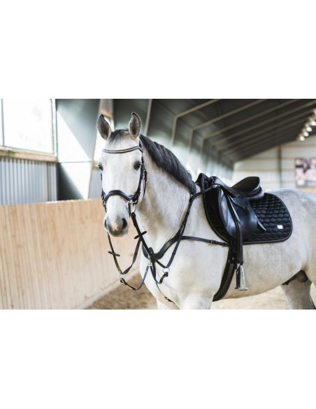 HorseGuard Luke breastplate size COB