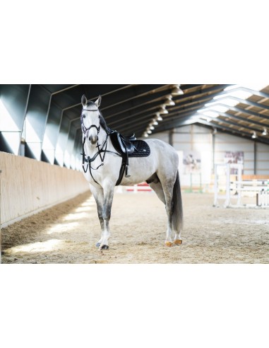HorseGuard Luke breastplate size COB
