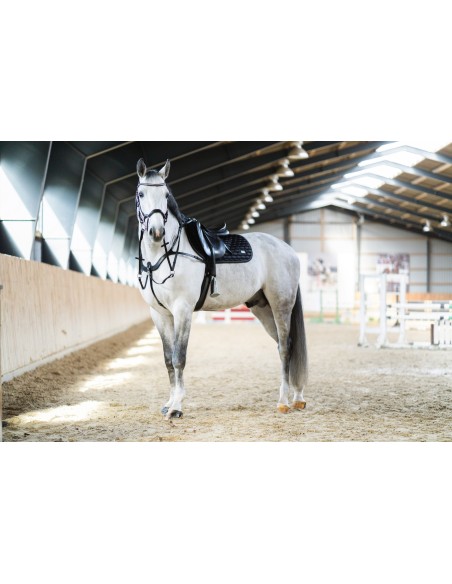 HorseGuard Luke breastplate size COB