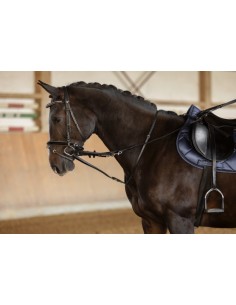 Thiedemann reins for horses 2