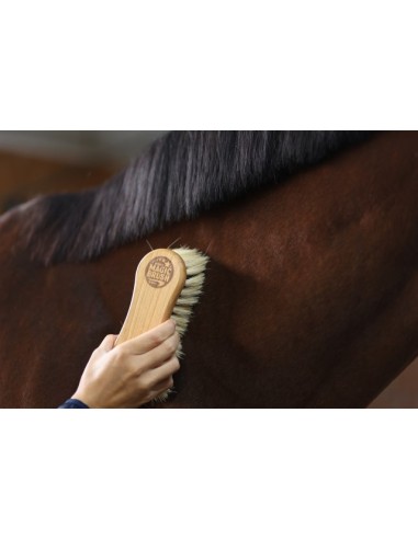 Четка за почистване на коне MagicBrush Kombi