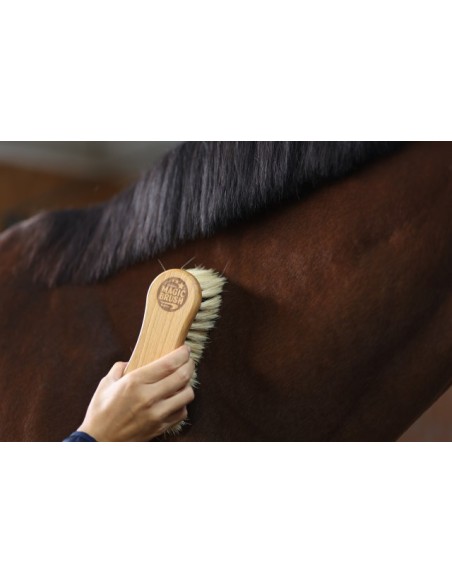 Четка за почистване на коне MagicBrush Kombi