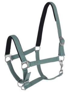 Halter Covalliero Doria