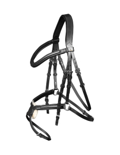 Waldhausen X -Line Standard Bridle Cancún 2